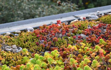 the cost of Cabin green roof installation