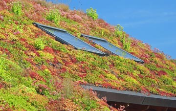 Cabin living roof systems