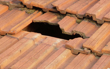 roof repair Cabin, Shropshire